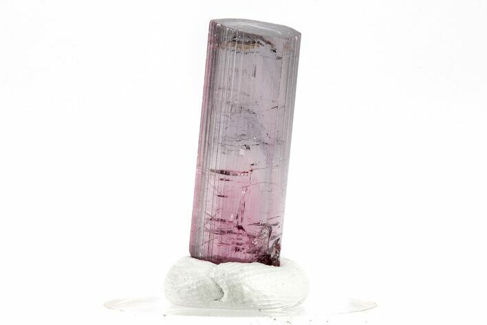 Bicolor Elbaite Tourmaline Crystal - Aricanga Mine, Brazil #209808